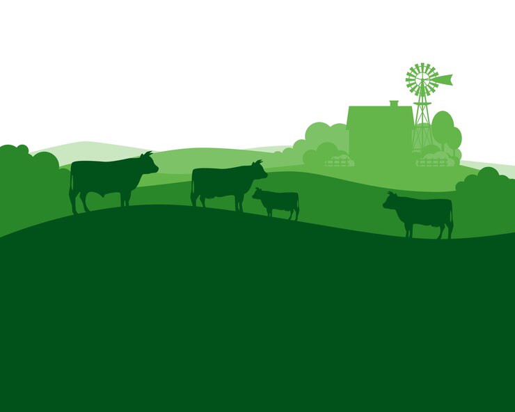 Vector rural landscape with milk farm and herd cows.
