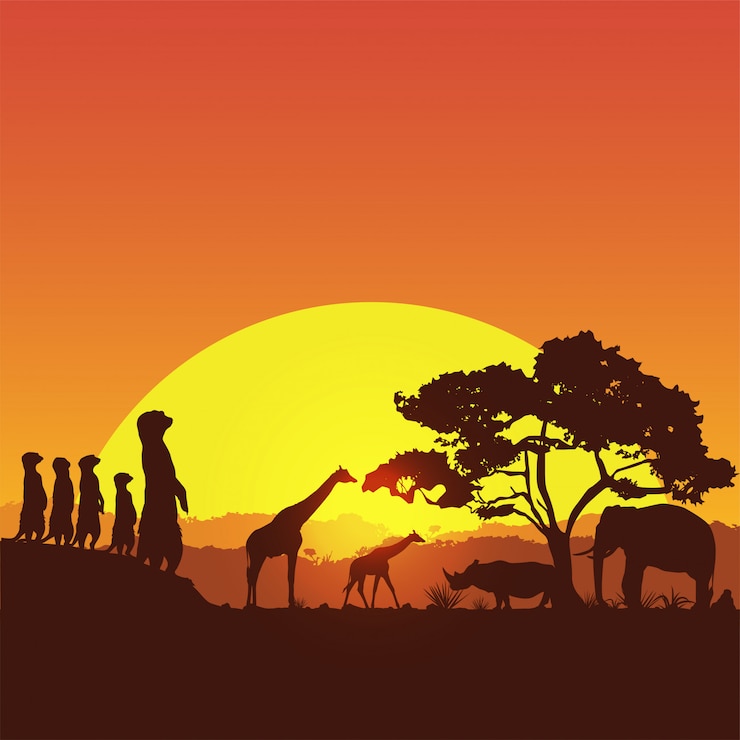 Vector safari banner, silhouette of wildlife animals in south africa