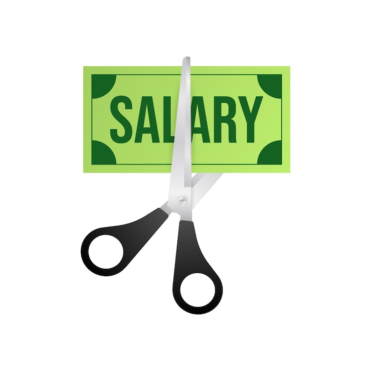Vector salary cut green image. business concept. business icon. flat design.