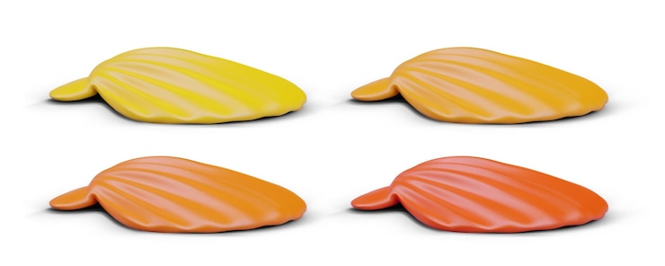 Vector scallop shell side view set of illustrations in different colors
