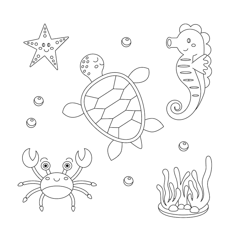 Vector sea animals coloring page cute cartoon characters set ocean turtle crab star sea horse