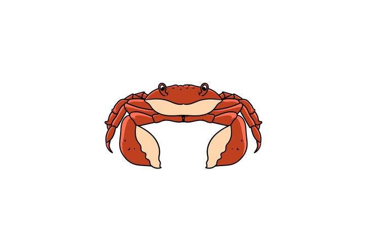 Vector sea crab illustration red legged animal