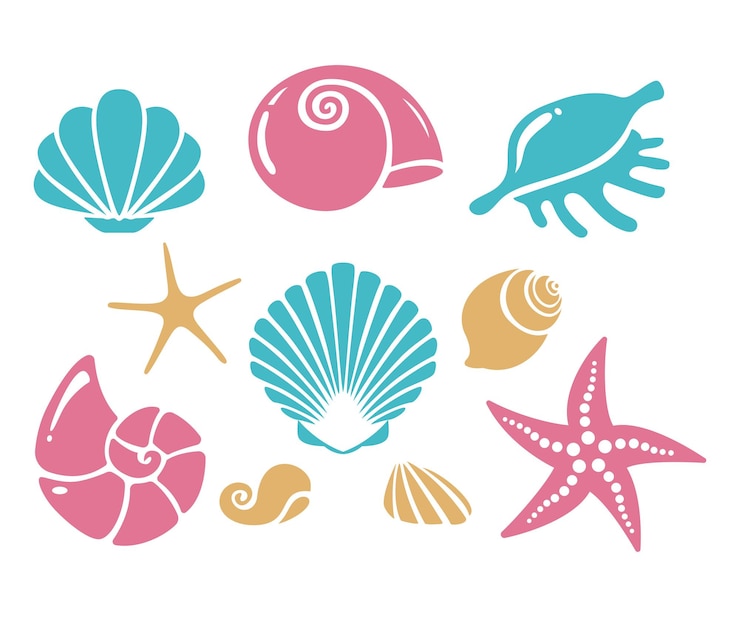 Sea shellsstarfish oyster and clam Set of sea life hand drawn vector illustration