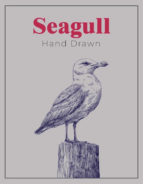 Seagull sketch hand drawn