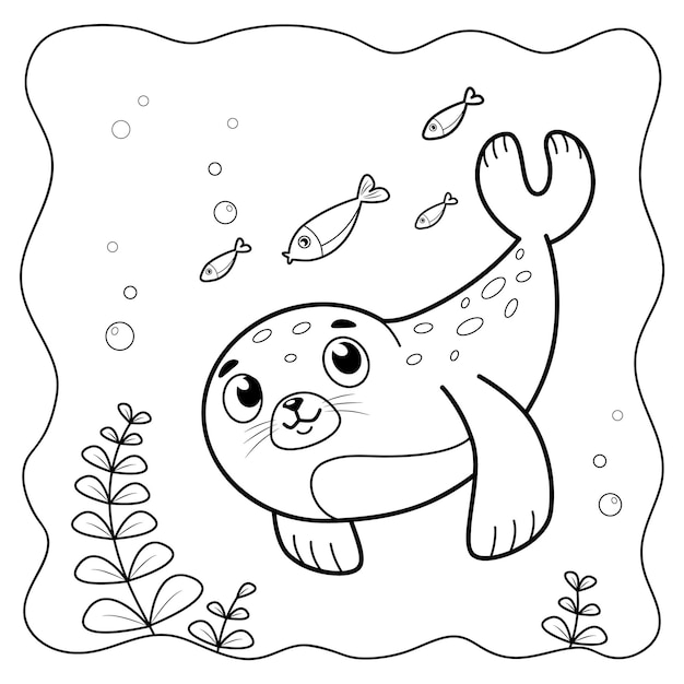 Seal black and white Coloring book or Coloring page for kids Marine background