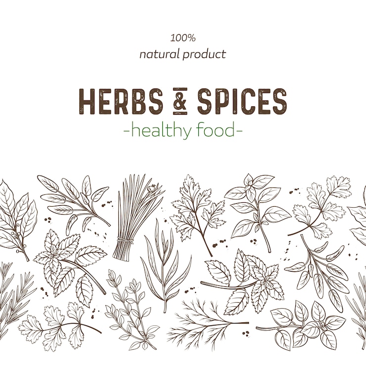 Vector seamless border herbs and spices