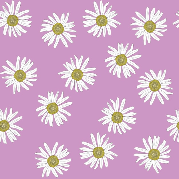 Seamless pattern with the chamomiles on a pink