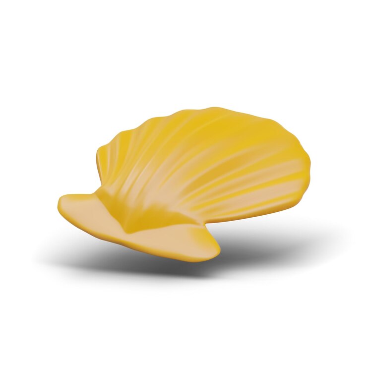 Vector seashell on white background with shadow nature aquatic concept