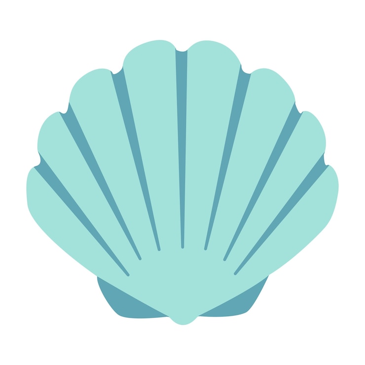 Vector seashell scallop hand drawn cartoon style flat illustration seashell isolated on white background
