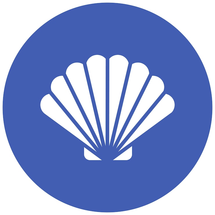 Vector seashell vector icon can be used for coastline iconset