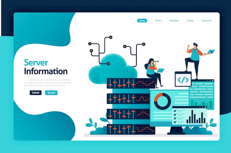 Vector server information landing page