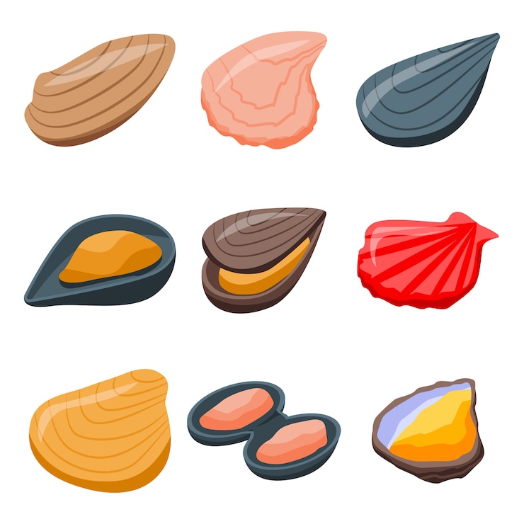 Vector set ikon kerang