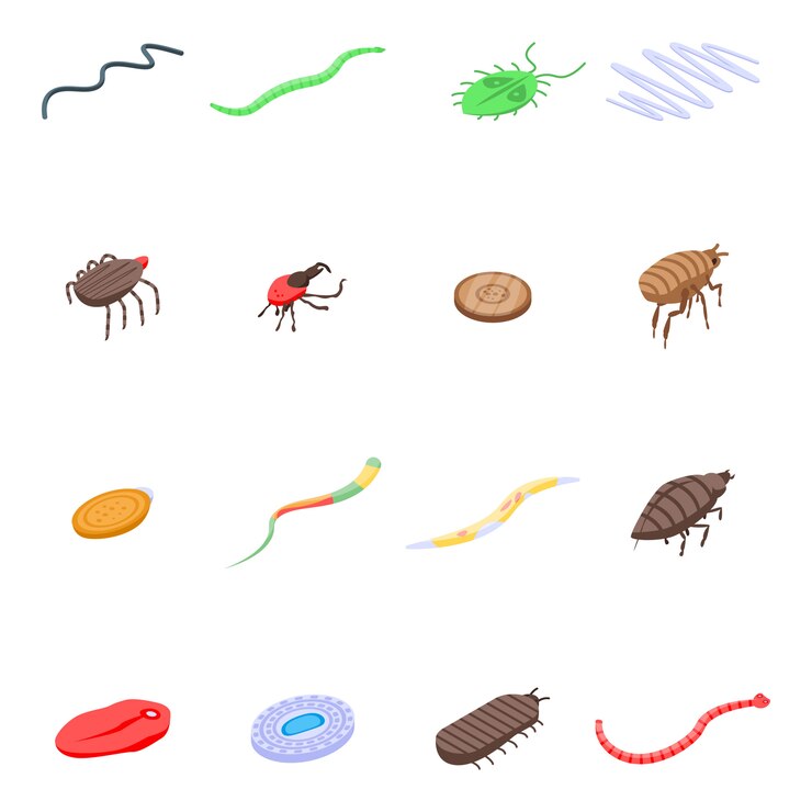 Vector set ikon parasit, gaya isometrik
