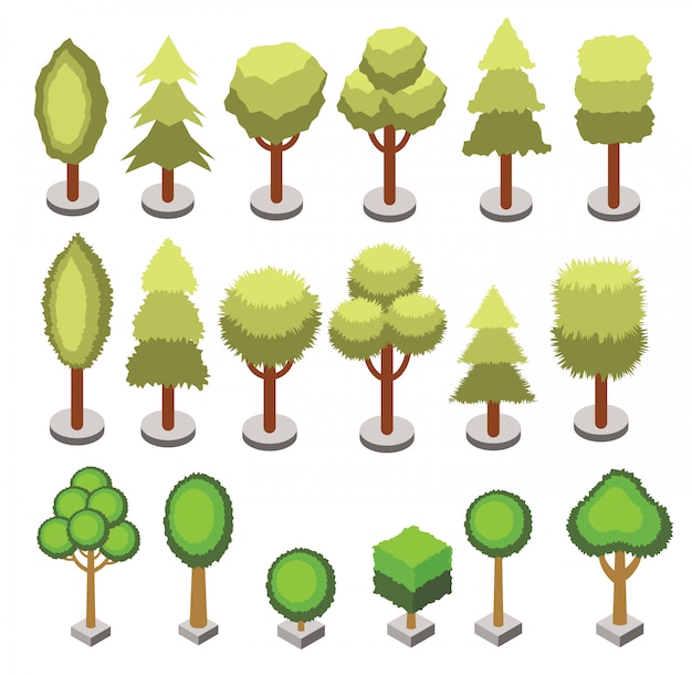 set isometric 3d various shape trees isolated. vector isometric tree icons for isometric maps, games design. city constructor set.