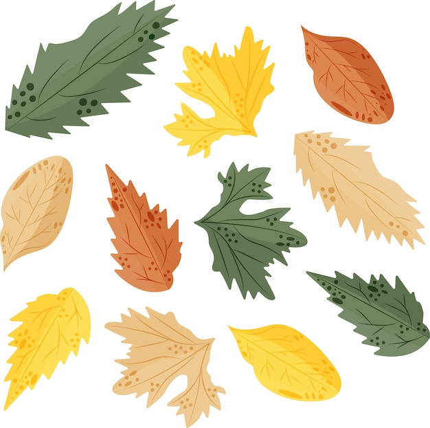 set of autumn leaves of various shapes from various deciduous trees and various pastel colors