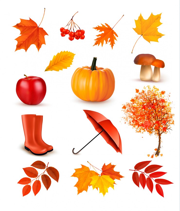Vector set of autumn-themed objects. vector