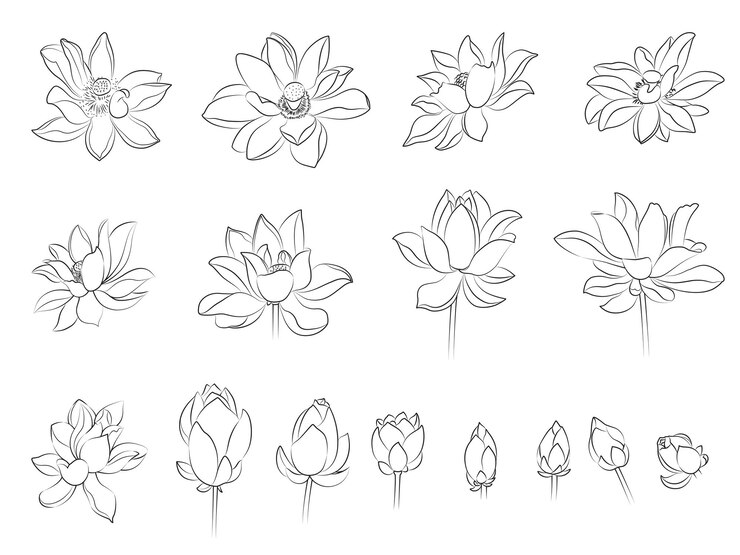 Set of black outline drawings of lotus flowers