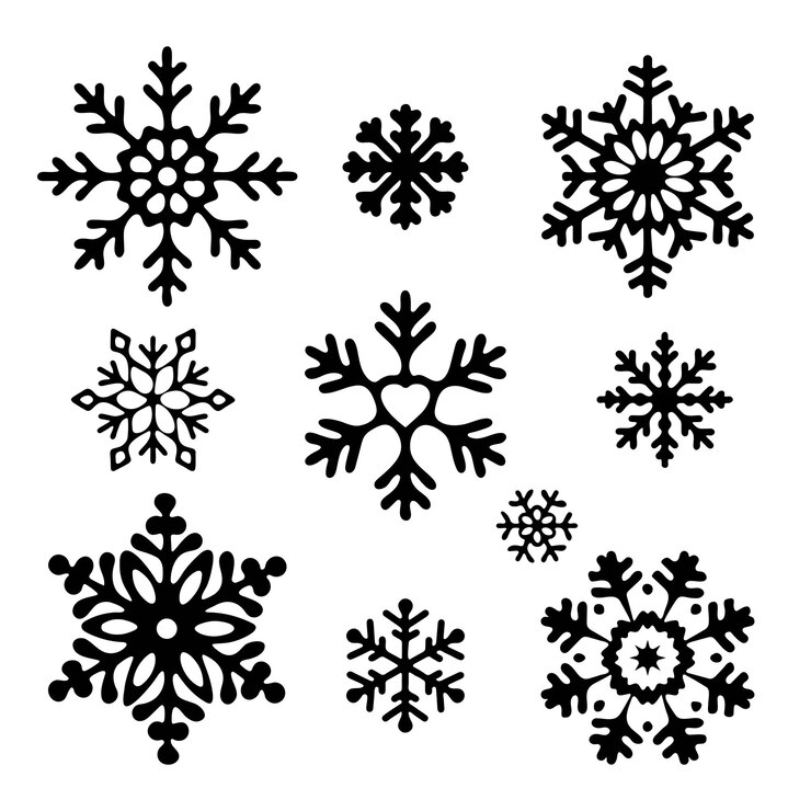 Vector set of black snowflakes on a white background. flat vector illustration.