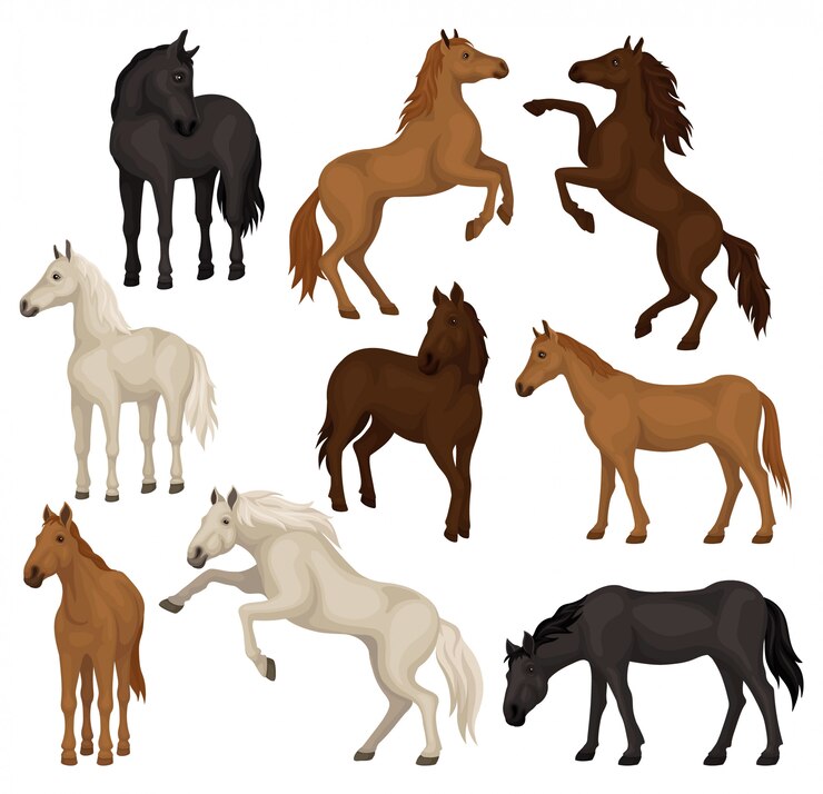 Vector set of brown, beige and black horses in different poses. big mammal animals with hoofs, flowing mane and tail.
