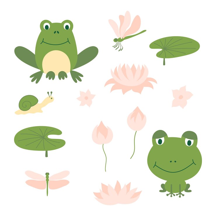 Vector set of cartoon cute green frog. funny different frogs with snails, aquatic plants, lily leaf and dragonfly.
