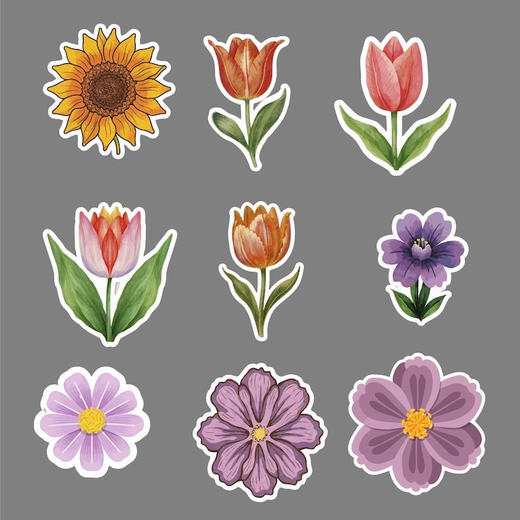 Vector set of floral elements romantic flower