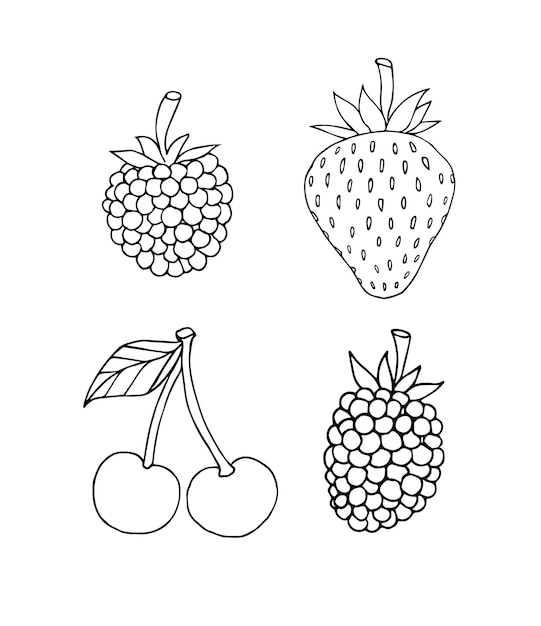 Set of hand drawn berries isolated on white background