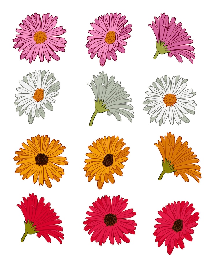 Vector set of hand drawn outline gerberas blooming heads