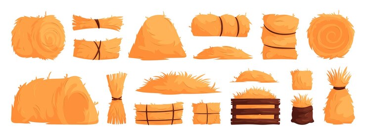 Vector set of hay bales piles heaps and stacks straw in rolls squares bags dry grass bundles of farm feed cartoon vector illustration of haystacks