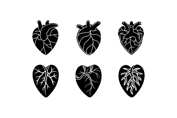 Vector set of human heart silhouette vector icon illustration on white backgroundheartmedical science