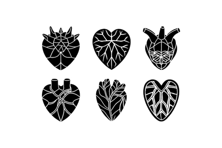 Vector set of human heart silhouette vector icon illustration on white backgroundheartmedical science