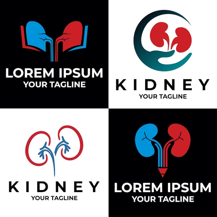 Vector set of kidney logo vector design template
