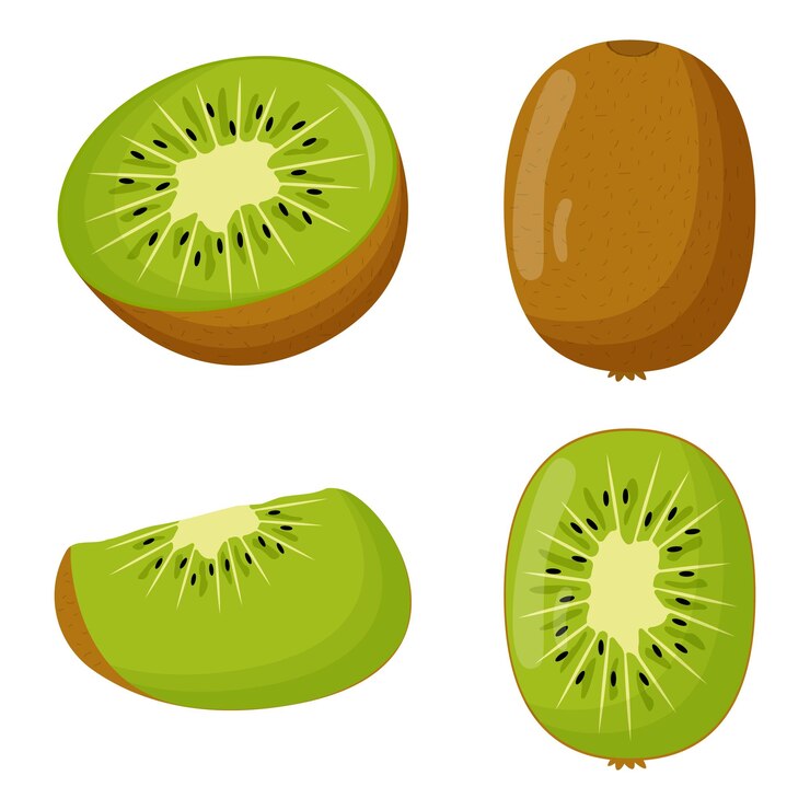 Set of kiwi with green leaves isolated on white background Flat vector illustration
