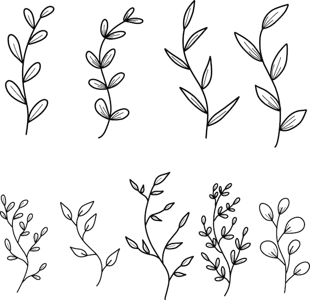Set Of Leaves Lineart