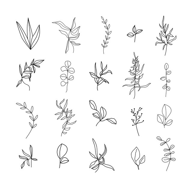 Set of linear various leaves and herbs.