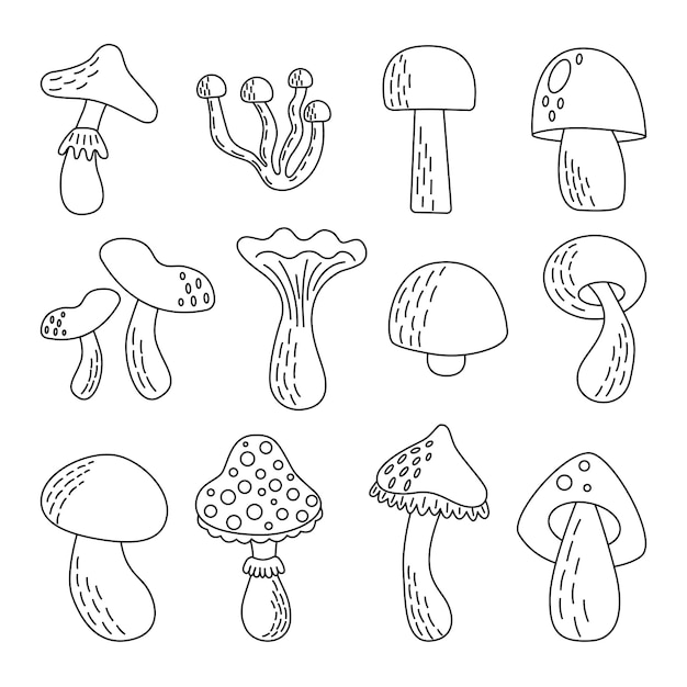 Set of mushrooms Hand drawn editable food drawings Forest autumn plant Outline vector