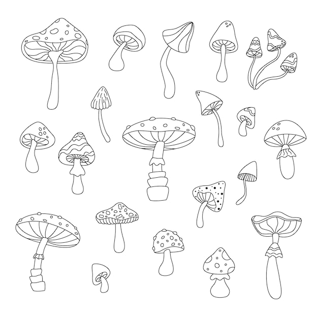 Set of outline mushrooms Hand drawn vector illustration