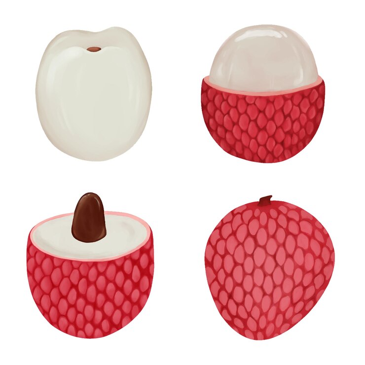 Vector set of pink lychee fruit