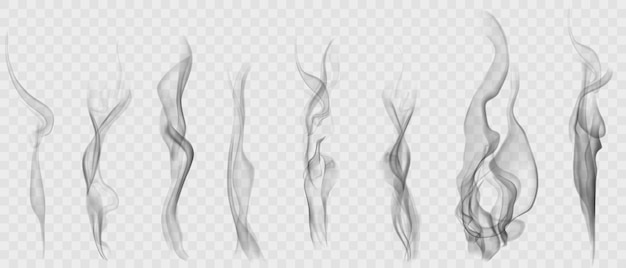 set of realistic transparent smoke or steam in white and gray colors, for use on light background.