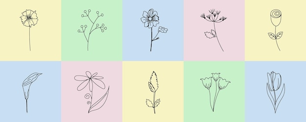 Set of spring flower elements Botanical collection of wildflower in linear style in multicolored