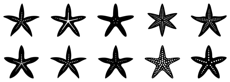 Set of starfish icons