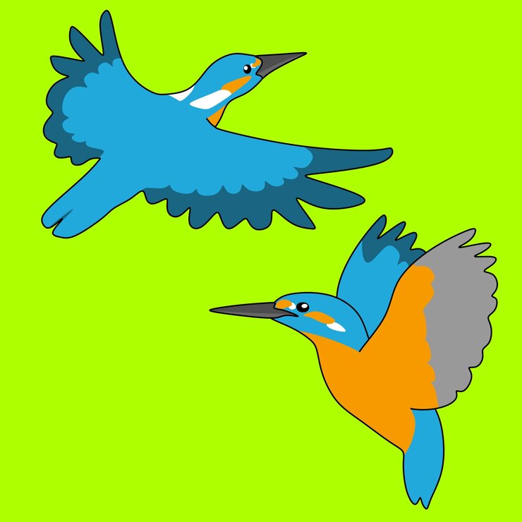 Vector set of vector illustrations of blue birds on green background kingfisher