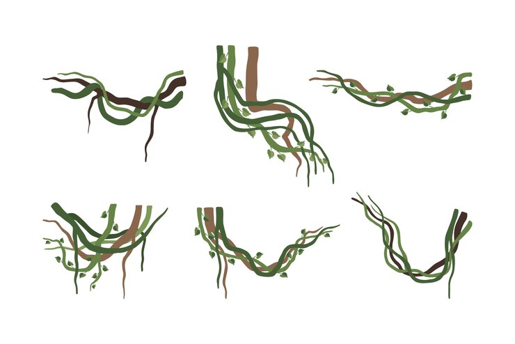 Vector set of vine winding branches or lianas jungle tropical climbing plants cartoon vector illustration
