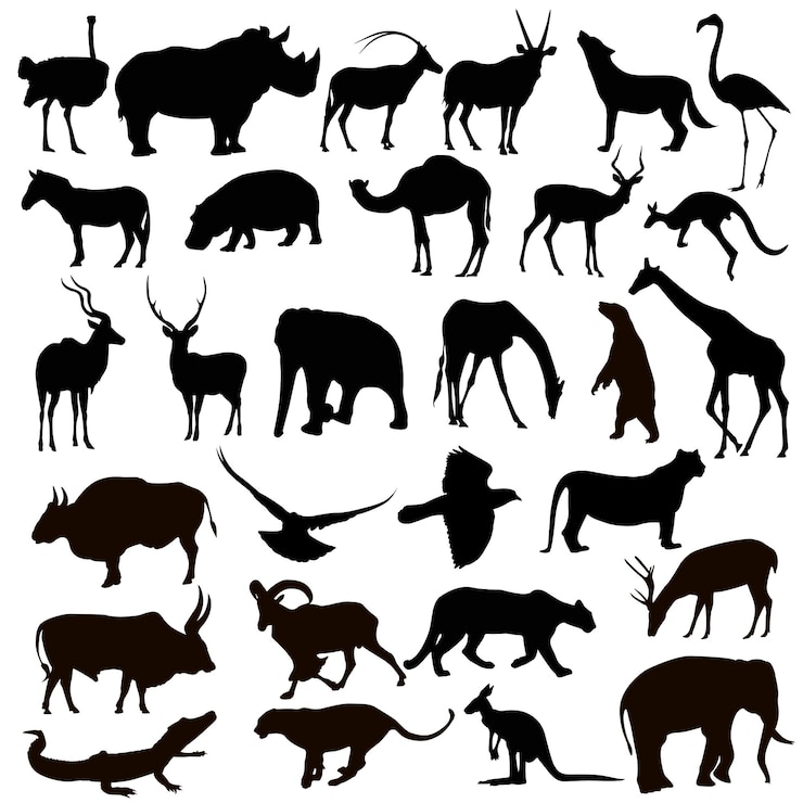 Vector set siluet hewan di atas putih