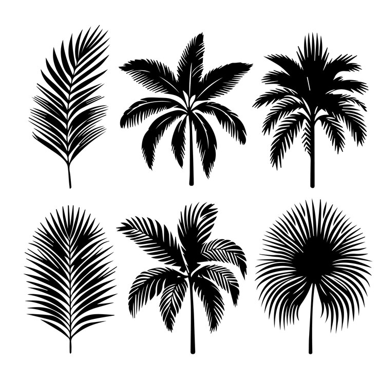 Vector set vektor daun tropis dengan gaya siluet sederhana dan latar belakang putih