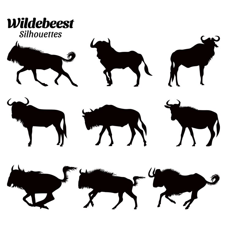 Set wildebeest silhouette vector illustration