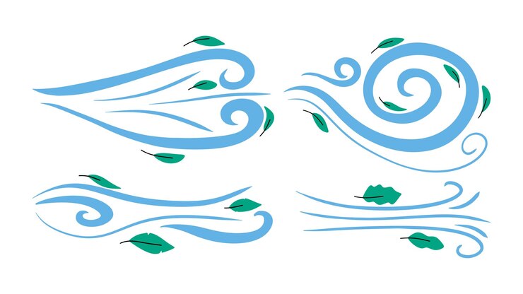 Vector set winds element with leaves vector illustration in hand draw style