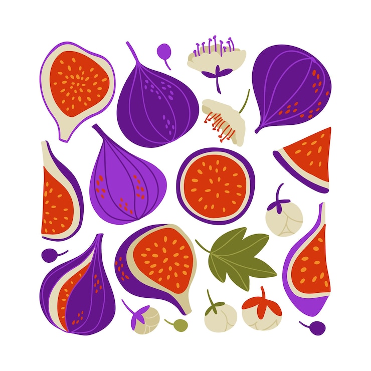Set with figs, fig slices, fig halves. Flat design. colored vector illustration.