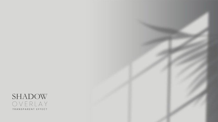 Vector shadows background in realistic style
