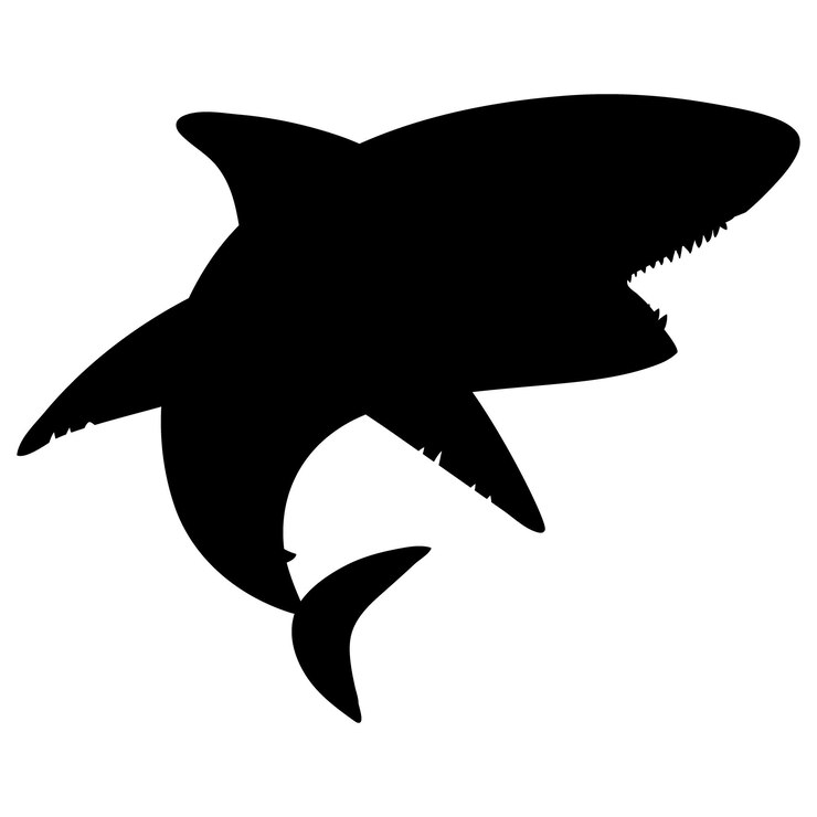 Vector shark icon ocean predator symbol marine animal