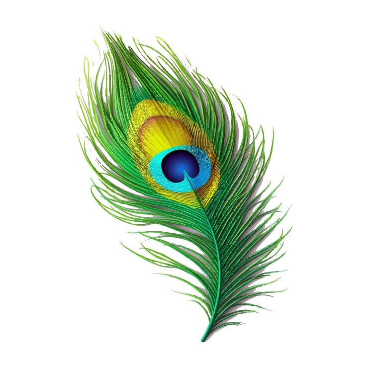 Vector shree krishna janmashtmi vector illustration
